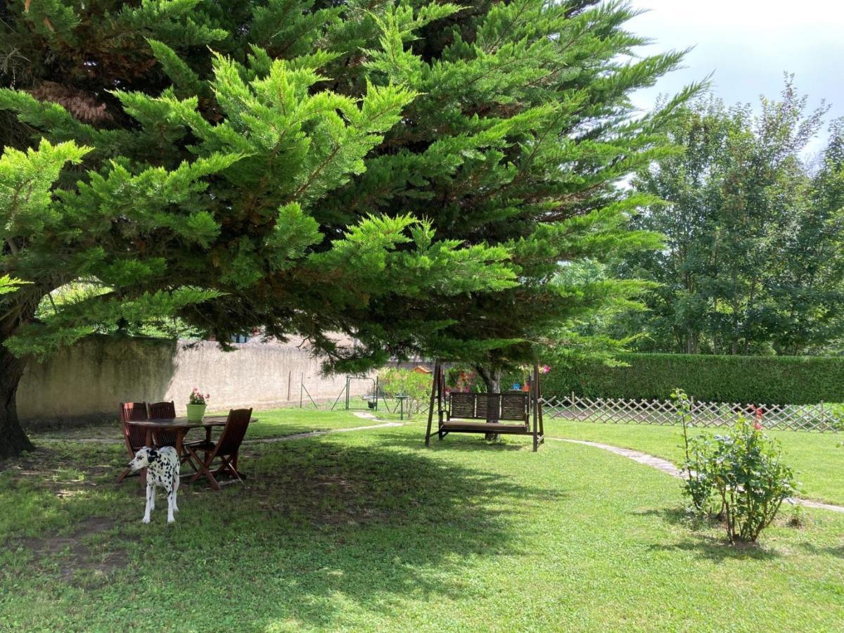 La Maison De Triboulet Chambres Et Table D'Hotes -Amboise- Pocé-sur-Cisse Eksteriør billede